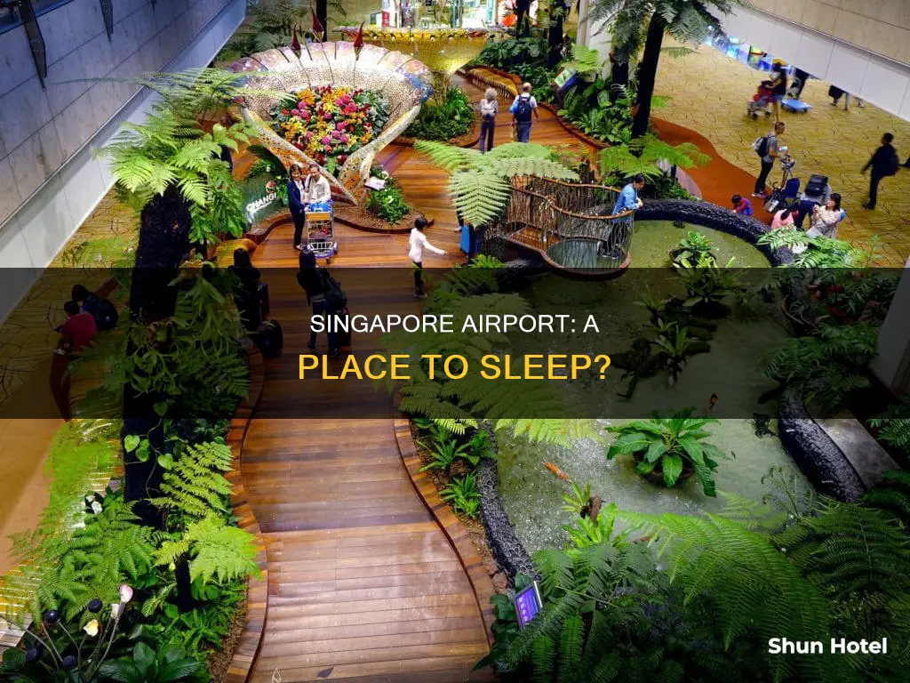 can i sleep at singapore airport