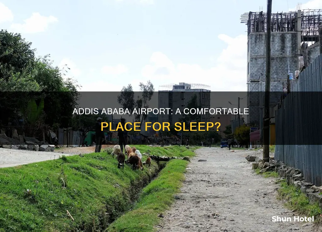 can i sleep in addis ababa airport