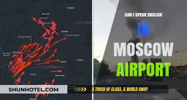 English in Moscow Airport: Is It Possible?