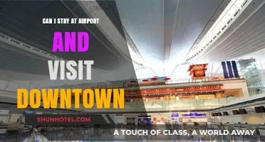 Staying at the Airport: Exploring Downtown?