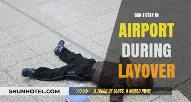 Exploring Layovers: Staying at the Airport Overnight?