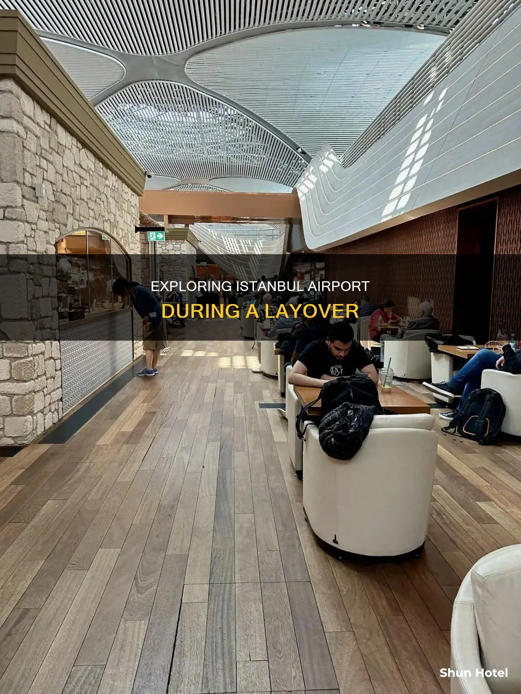 can i stay in istanbul airport during layover