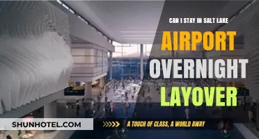 Staying Overnight at Salt Lake Airport During Layover