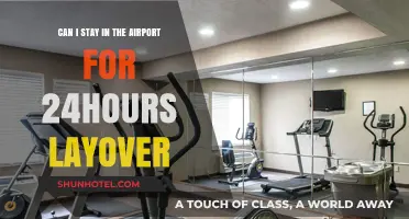 Exploring the Airport: 24-Hour Layover Adventures
