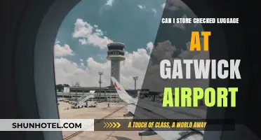 Storing Checked Luggage: Gatwick Airport Options