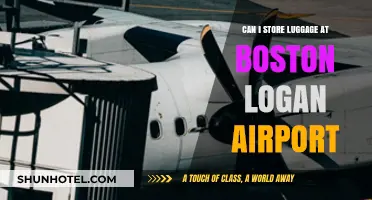 Exploring Boston Logan Airport's Luggage Storage Options