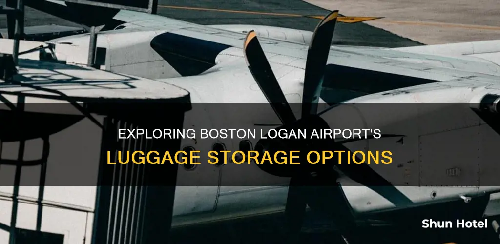 can i store luggage at boston logan airport