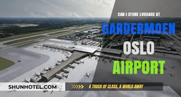 Gardermoen Oslo Airport: Luggage Storage Options