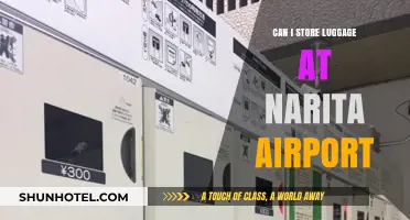 Storing Luggage at Narita Airport: Is It Possible?