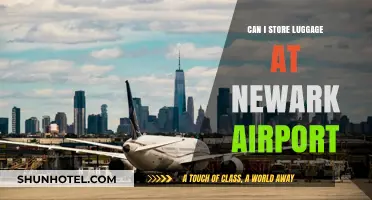 Storing Luggage at Newark Airport: Is It Possible?