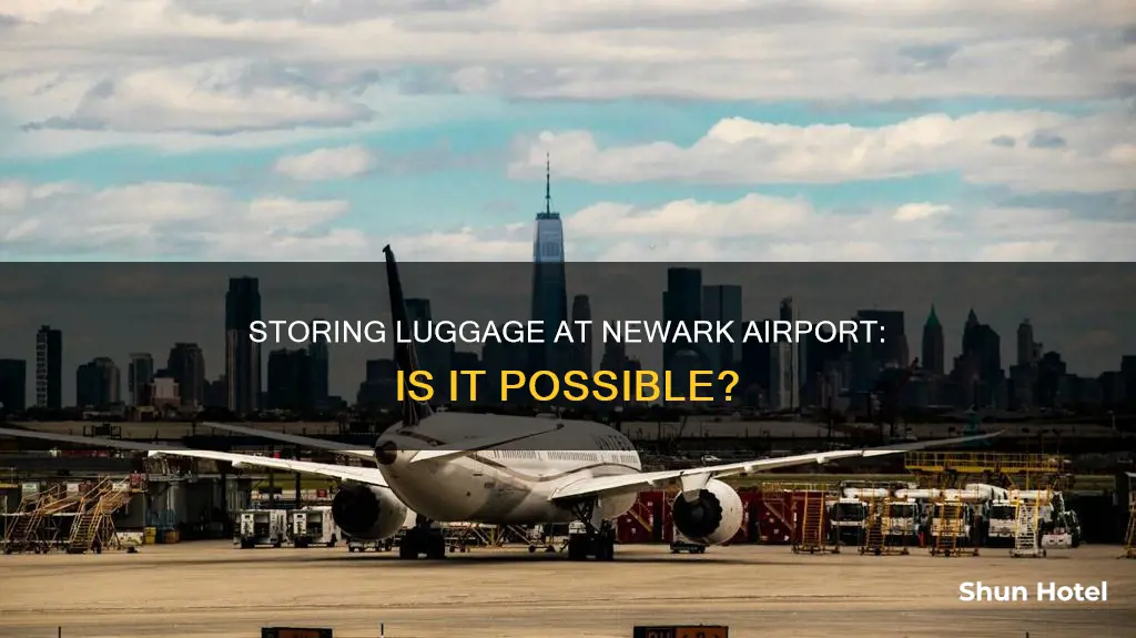 can i store luggage at newark airport