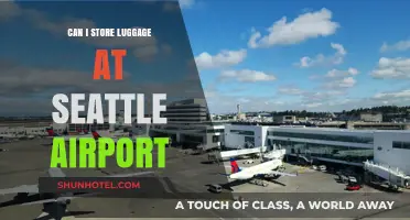 Storing Luggage at Seattle Airport: Is It Possible?