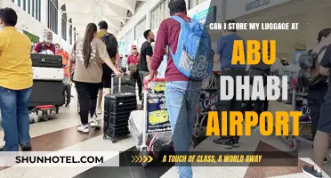 Storing Luggage at Abu Dhabi Airport: Is It Possible?