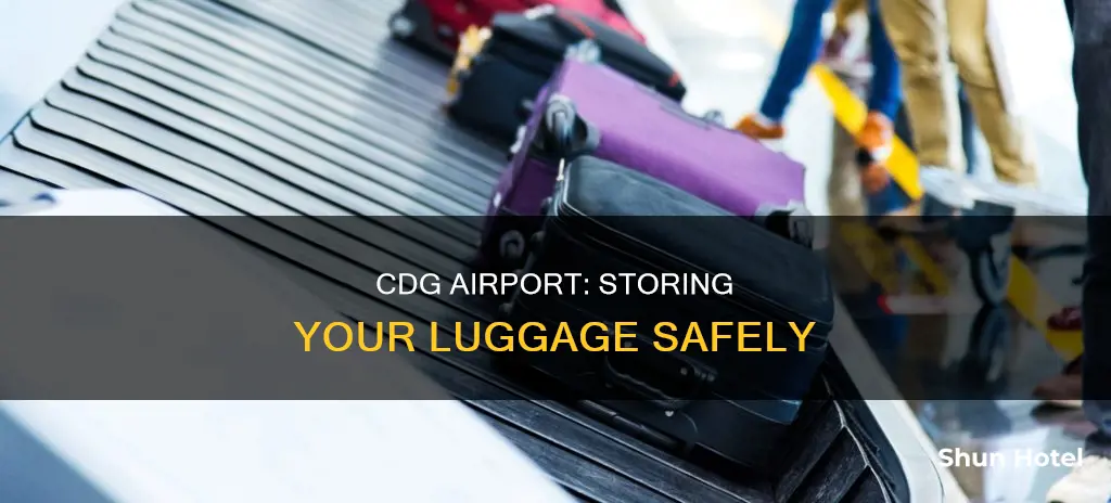 can i store my luggage at cdg airport