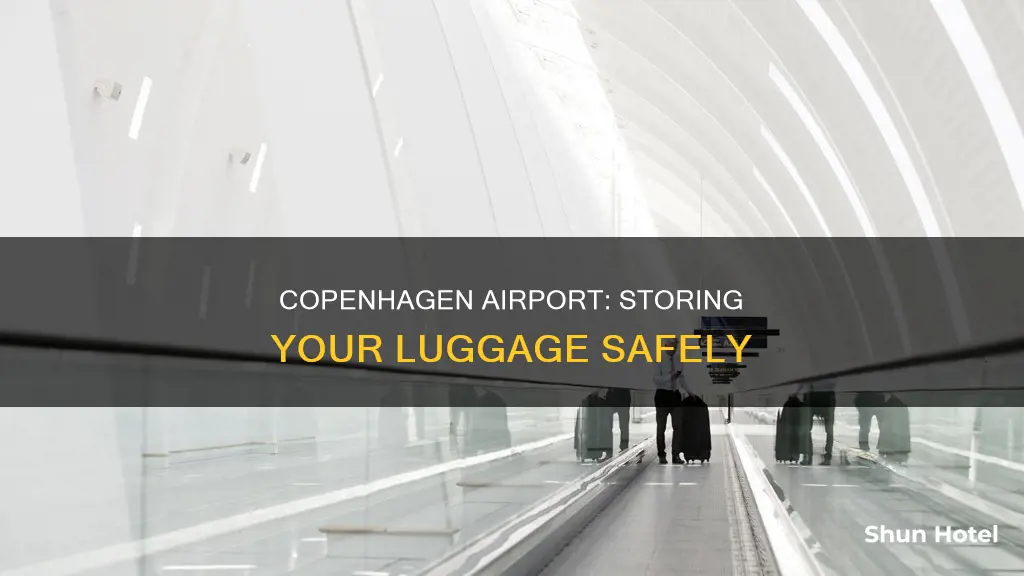 can i store my luggage at copenhagen airport