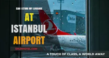 Istanbul Airport: Storing Your Luggage Safely