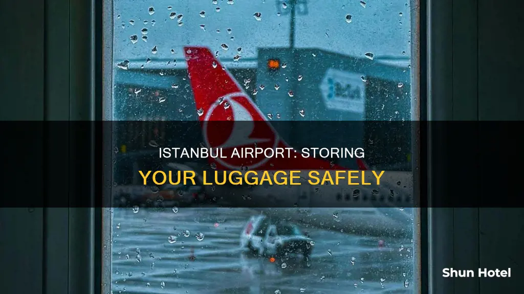 can i store my luggage at istanbul airport