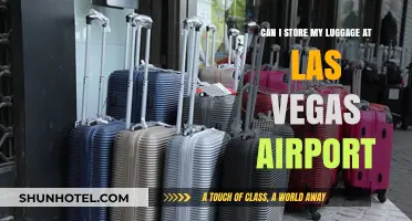 Las Vegas Airport: Storing Your Luggage