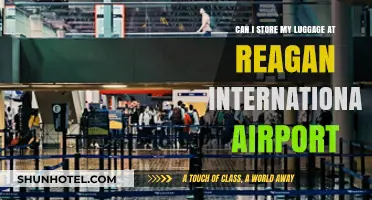 Reagan International Airport: Storing Your Luggage Safely