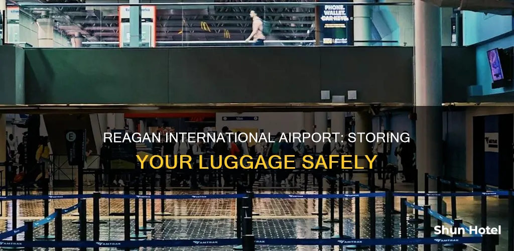 can i store my luggage at reagan international airport