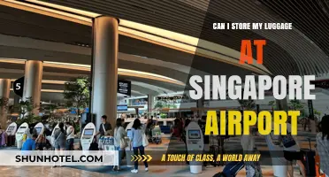 Singapore Airport: Storing Your Luggage Safely