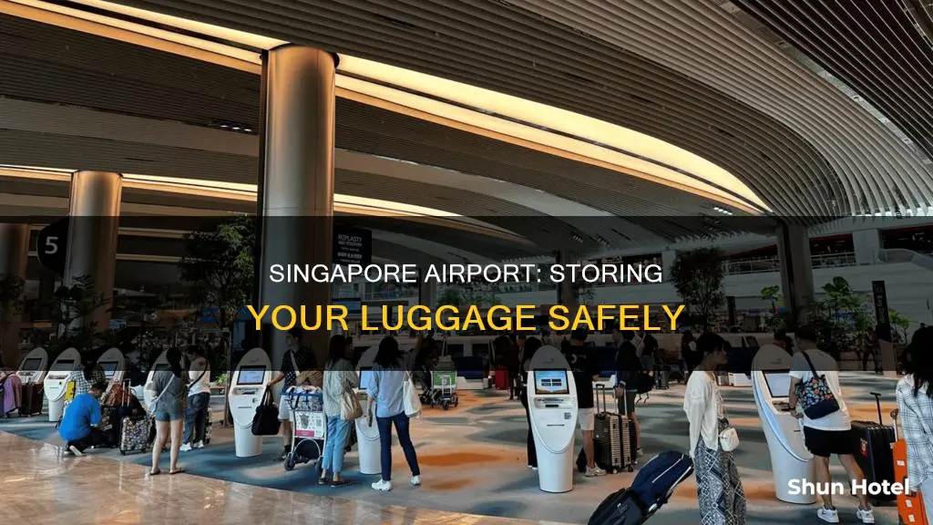 can i store my luggage at singapore airport