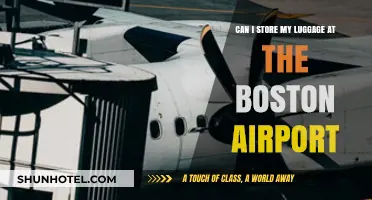 Boston Airport: Storing Your Luggage Safely