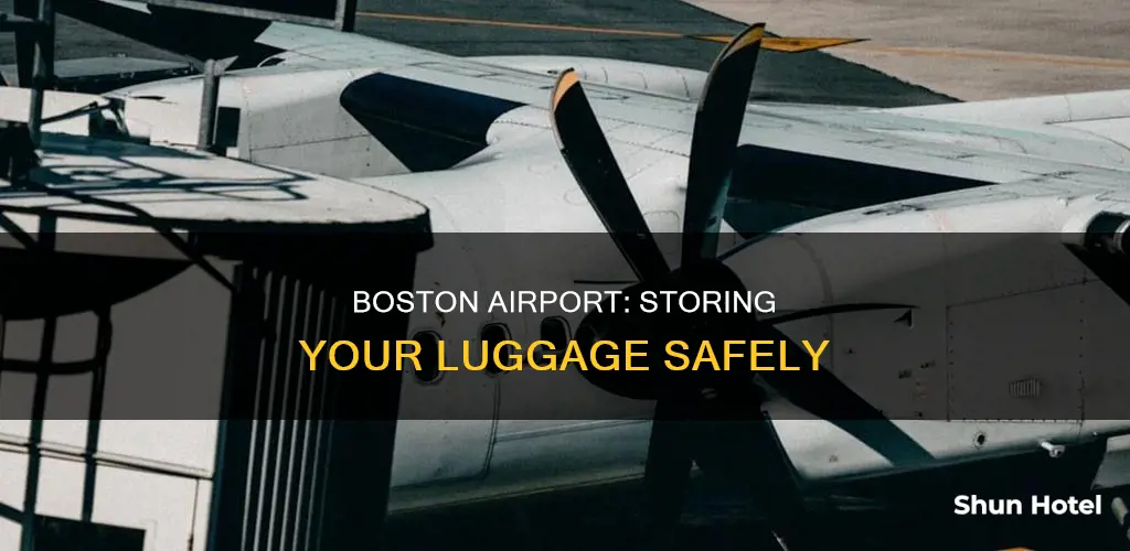 can i store my luggage at the boston airport