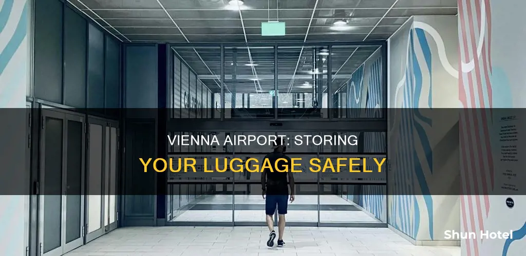 can i store my luggage at vienna airport