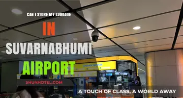Storing Luggage at Suvarnabhumi Airport: Is it Possible?