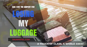 Lost Luggage: Can I Sue the Airport?