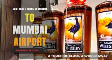 Mumbai Airport Alcohol Allowance: Can I Take 3 Liters?