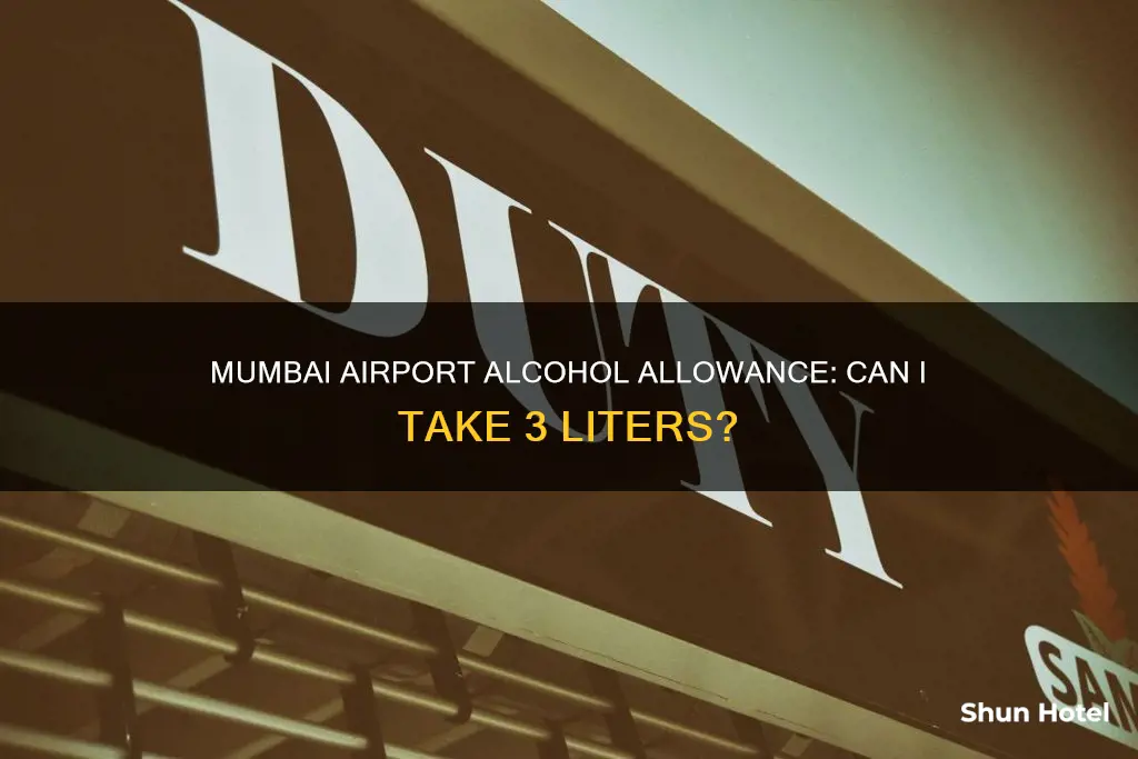 can i take 3 liters of alcohol to mumbai airport