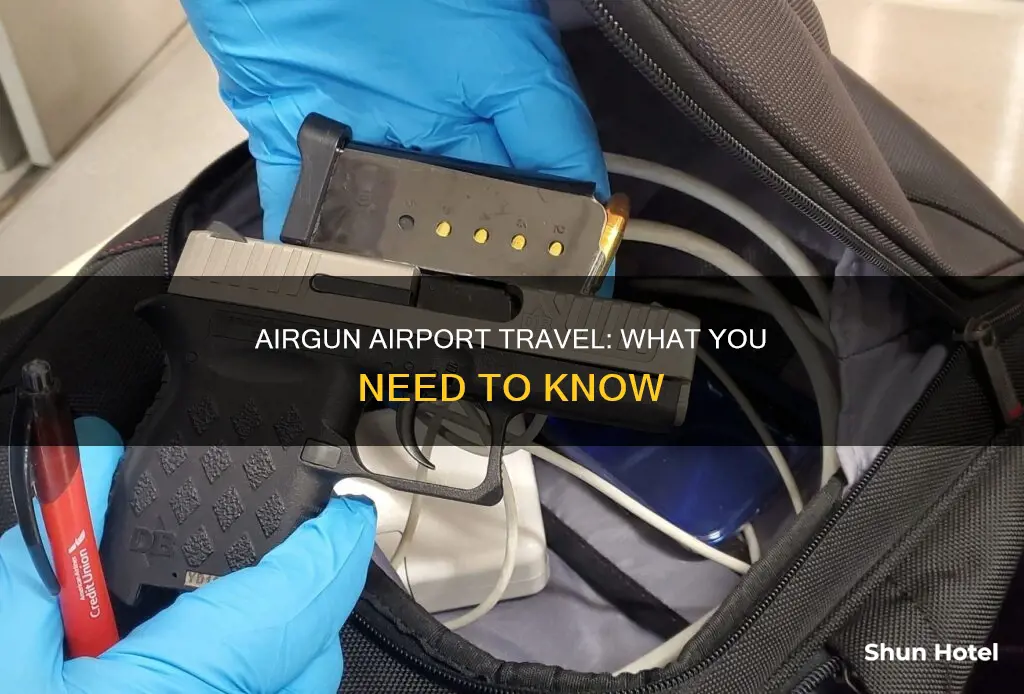 can i take a airgun in the airport