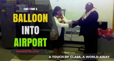 Airport Balloon Ban: What You Need to Know