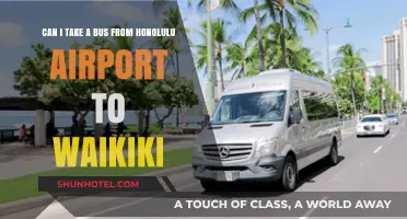 Honolulu Airport to Waikiki: Bus Travel Options