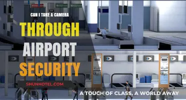 Travel Photography: Taking Your Camera Through Airport Security