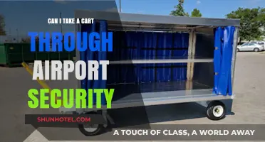 Airport Security: Can You Bring Your Cart?
