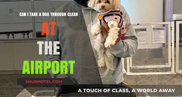 Clear Airport Security: Can I Bring My Dog?