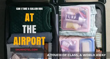 Airport Security: Gallon Bags, Allowed or Not?