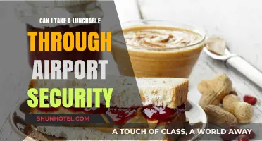 Traveling with Lunchables: TSA-Friendly or Not?