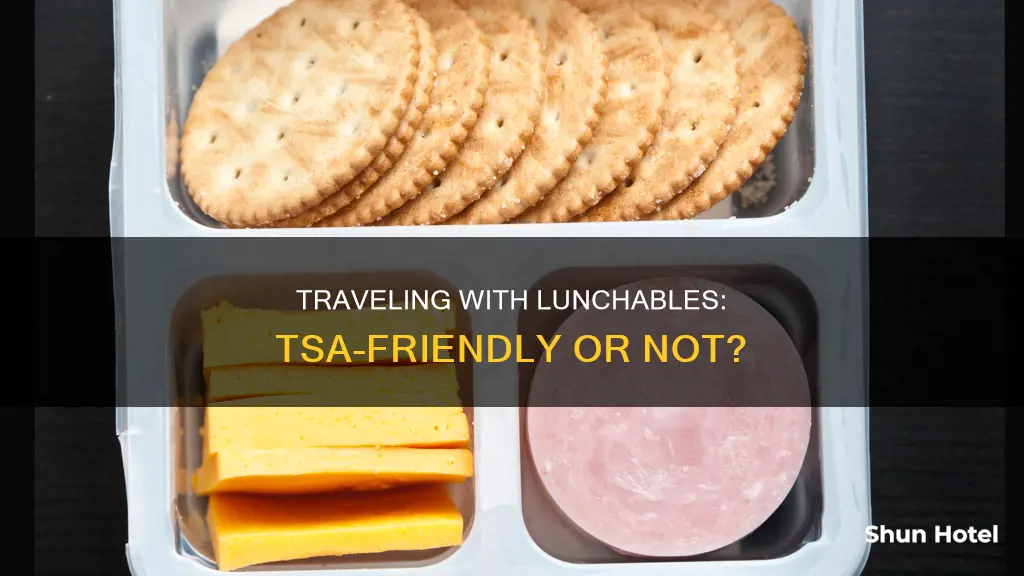 can i take a lunchable through airport security