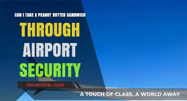 Travelers' Treat: Peanut Butter Sandwiches Through Airport Security