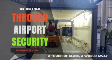 Airport Security: Can I Bring My Plant?