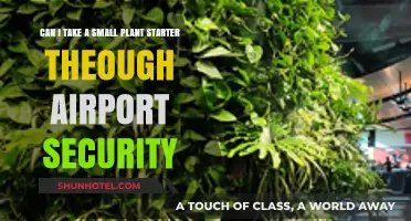 Air Travel with Plants: TSA-Friendly Plant Starters