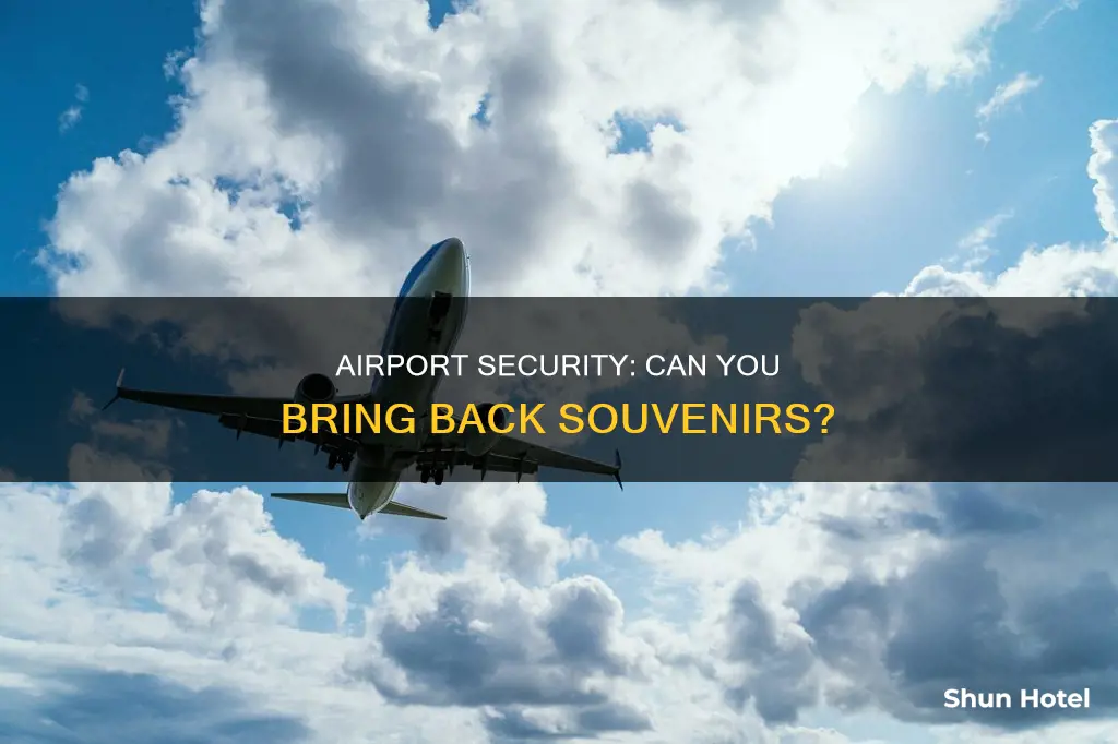 can i take a souvenir sign through airport security
