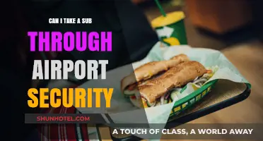 Traveling with a Sub: Airport Security Tips