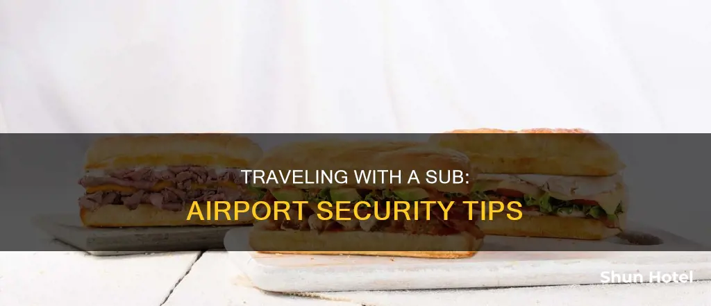 can i take a sub through airport security