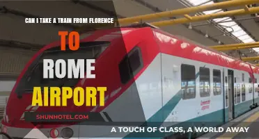 Travel from Florence to Rome Airport by Train?