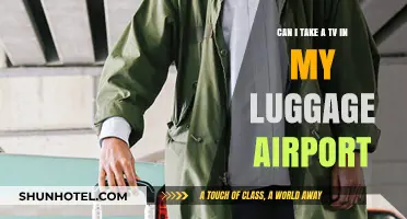 Traveling with a TV: Can I Take It?